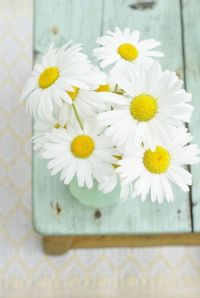 9a170639c257d73618cdd81d11031161