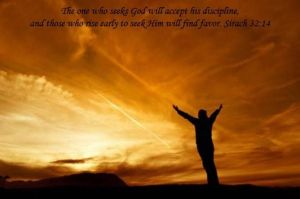 b9a20eb1b8ffbab1b1a52fdf0c0d17f5