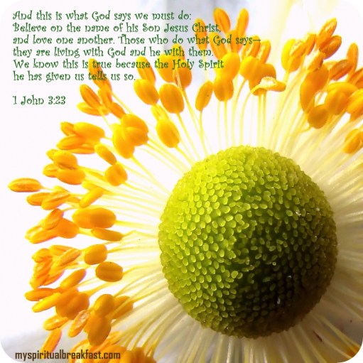 all-right-mr-demille