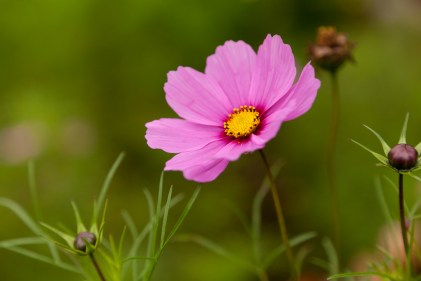 5054990933_2d67132293_b