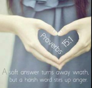 *Proverbs 15-1