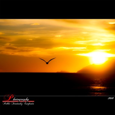 4363009601_9232c8e6e3_o