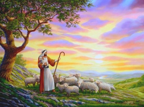 5691334593_986de7cc8b_o