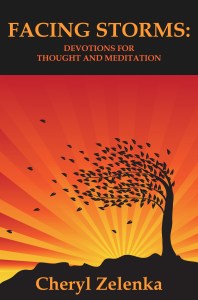 *Facing Storms Front Cover 1.1