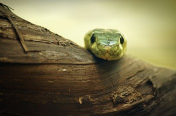 15761856408_d0d7251158_c