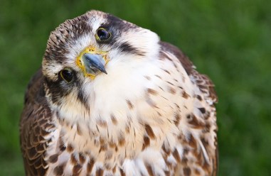 8858052726_7670603f06_c