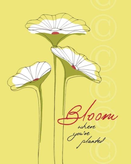 ad7612c0953cfd96ef3f774c5f773786