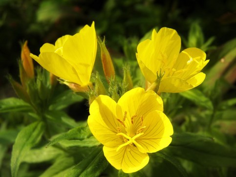 9294405450_c53e663100_c