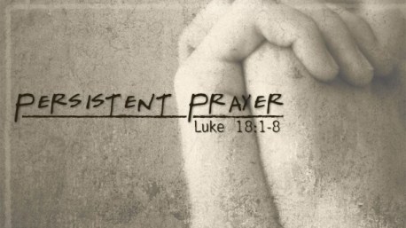 12067210_557796384369178_567970691_n